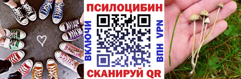 Галлюциногенные грибы Magic Shrooms  блэк спрут вход  Улан-Удэ 